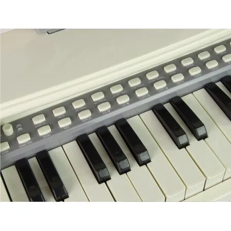 25 Keys Electronic Piano Pat Into Wonderful Music