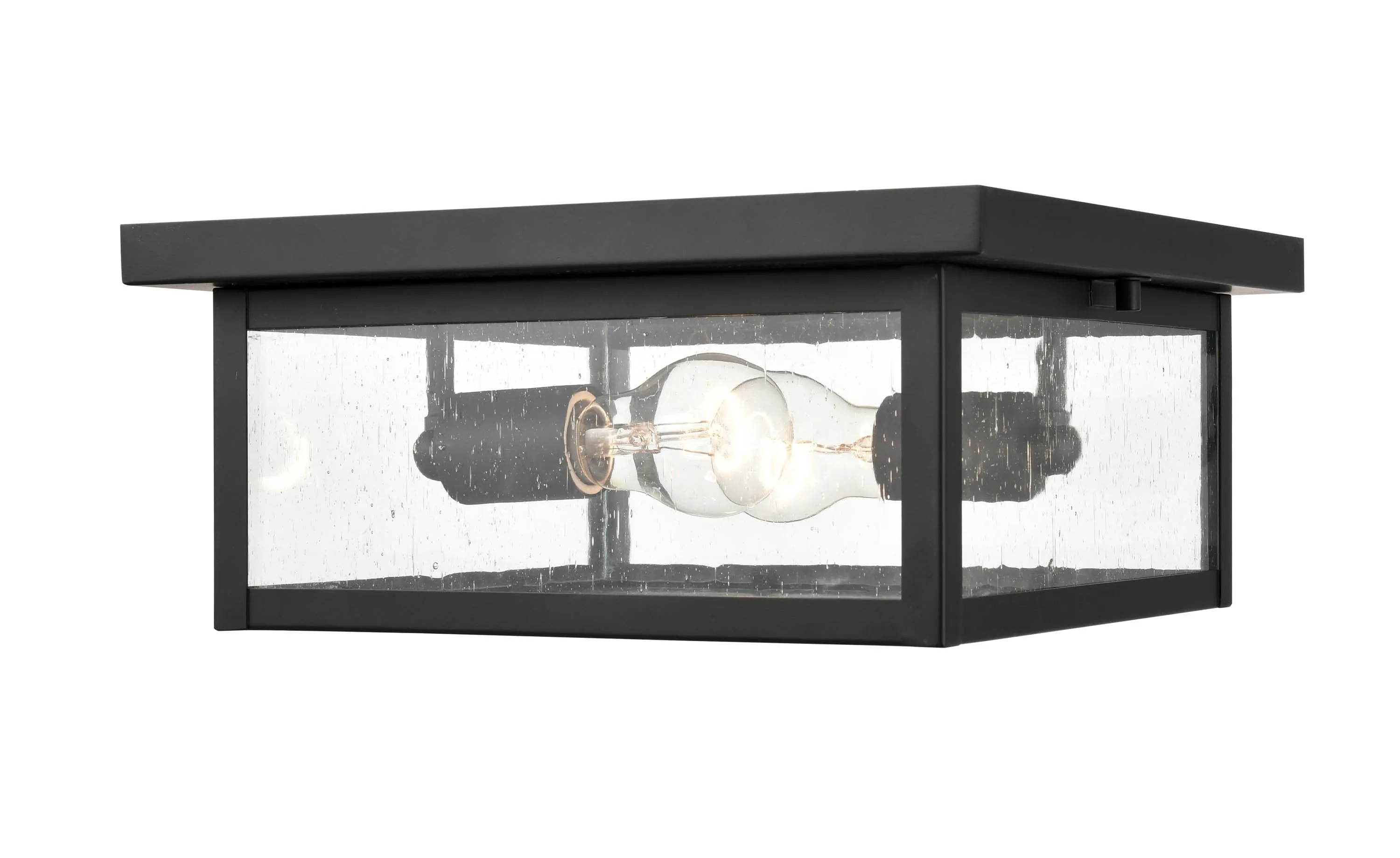 Evanton Outdoor Flush Mount Fixture - Powder Coated Black - Clear Seeded Glass - 12in. Diameter - E26 Medium Base