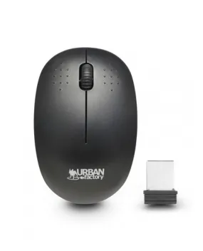 Free Wireless 2.4Ghz Mouse (Retail)