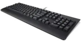 Keyboard Usb Trdtnl Kb Bk