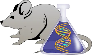 Mouse Factor XII Genetically Deficient Kidney Tissue Lysate