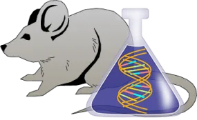 Mouse Factor XII Genetically Deficient Kidney Tissue Lysate