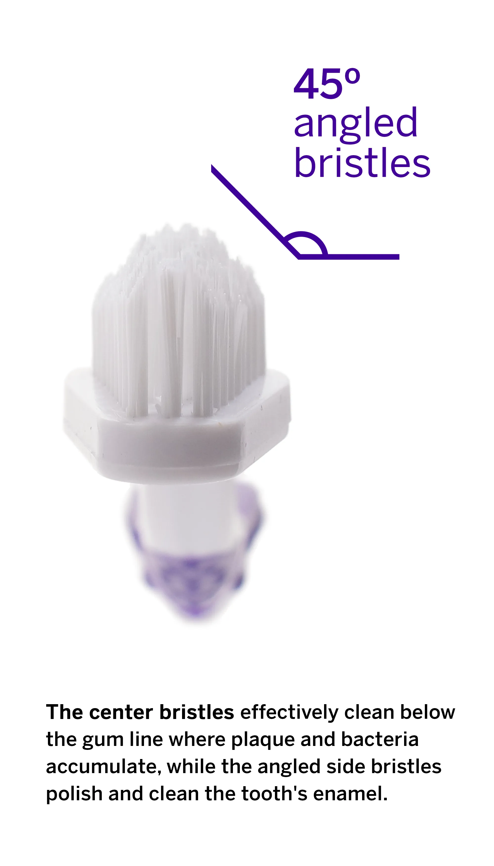 Professional Cat Toothbrush - Patented 45° Dual-Ended Brush Head