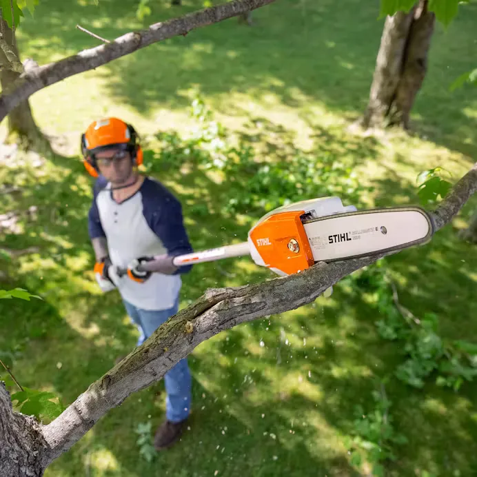 Stihl | HTA 66 Battery Pole Pruner | w/ AP 200 battery & AL 301 charger (HTA66-AP200-AL301-COMBO)