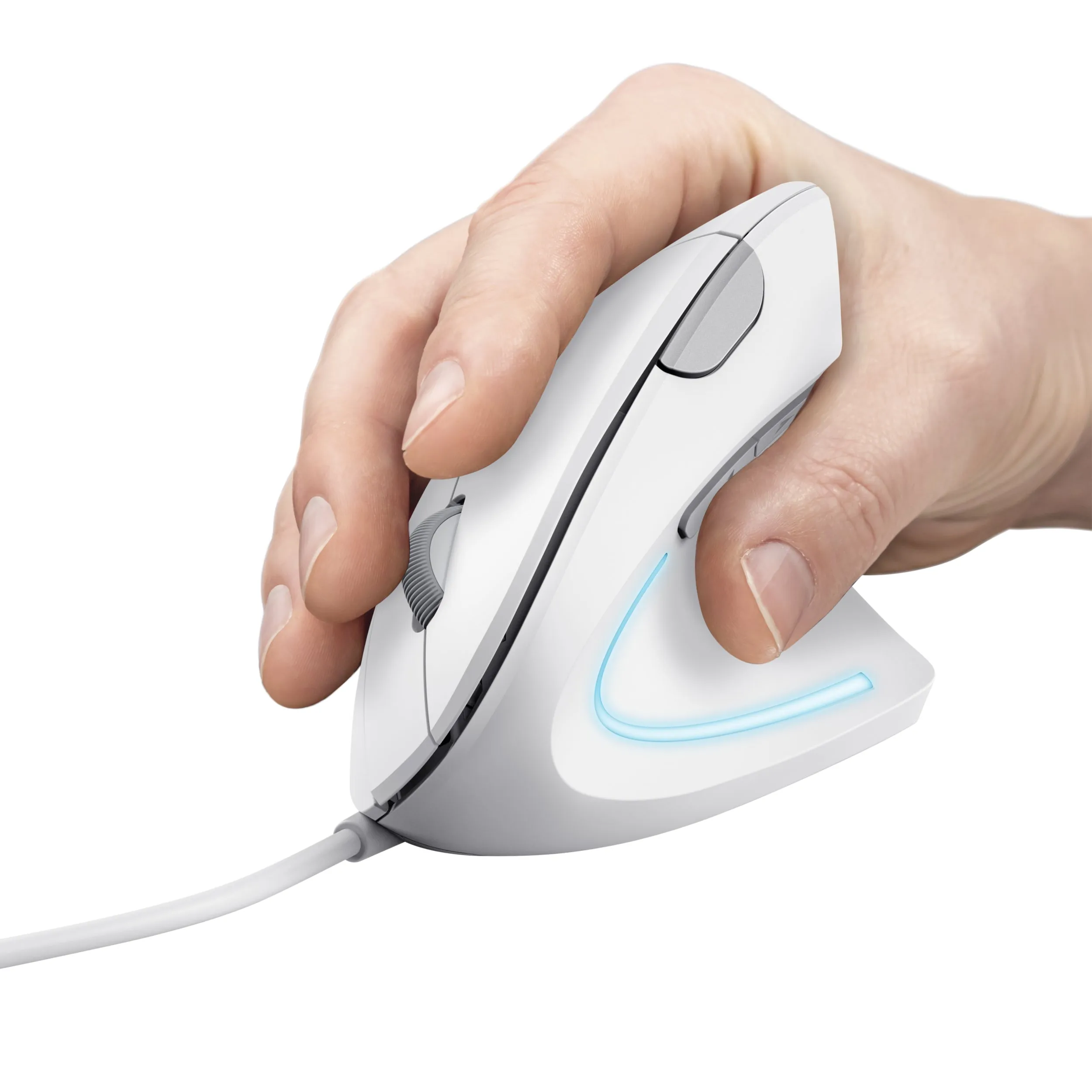 Trust Verto Mouse Office Right-Hand Usb Type-A Optical 1600 Dpi